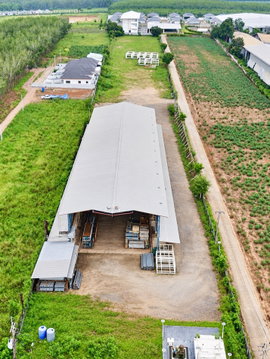 ขายด่วน! ที่ดินพร้อมโรงงาน 8 ไร่ | นิคมพัฒนา ระยอง ผังเมืองสีม่วงลายจุด • ต.มะขามคู่ รถเทรลเลอร์เข้า–ออกสะดวก