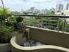 listing thumbnail image 21