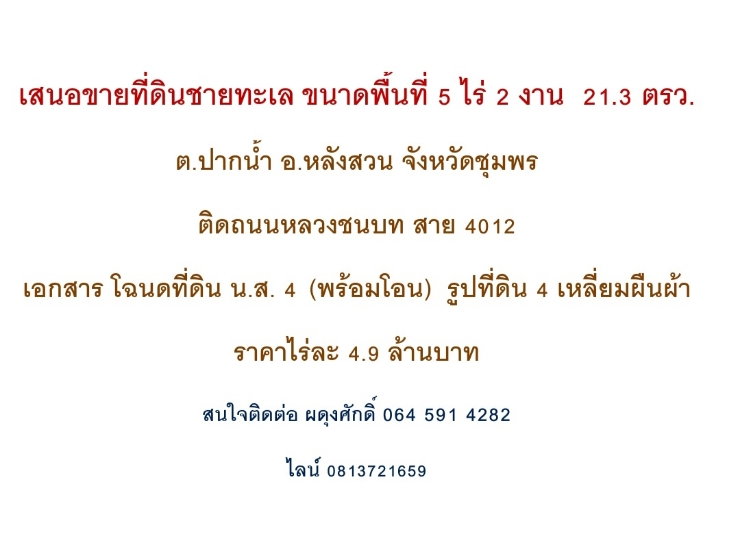 รูป ขายที่ดินติดชายทะเล ปากน้ำ หลังสวน จ.ชุมพร ทำเลทองผืนสุดท้าย - รูปที่ 4/4