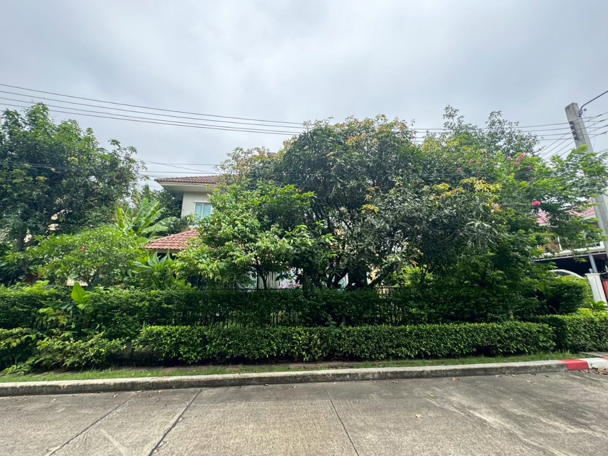 รูป เจ้าของขายเอง เดอะซิตี้ ปิ่นเกล้า–สาย 2 บ้านหัวมุม 100.1 ตร.ว. สวนร่มรื่น 11.5 ล้านบาท - รูปที่ 4/23