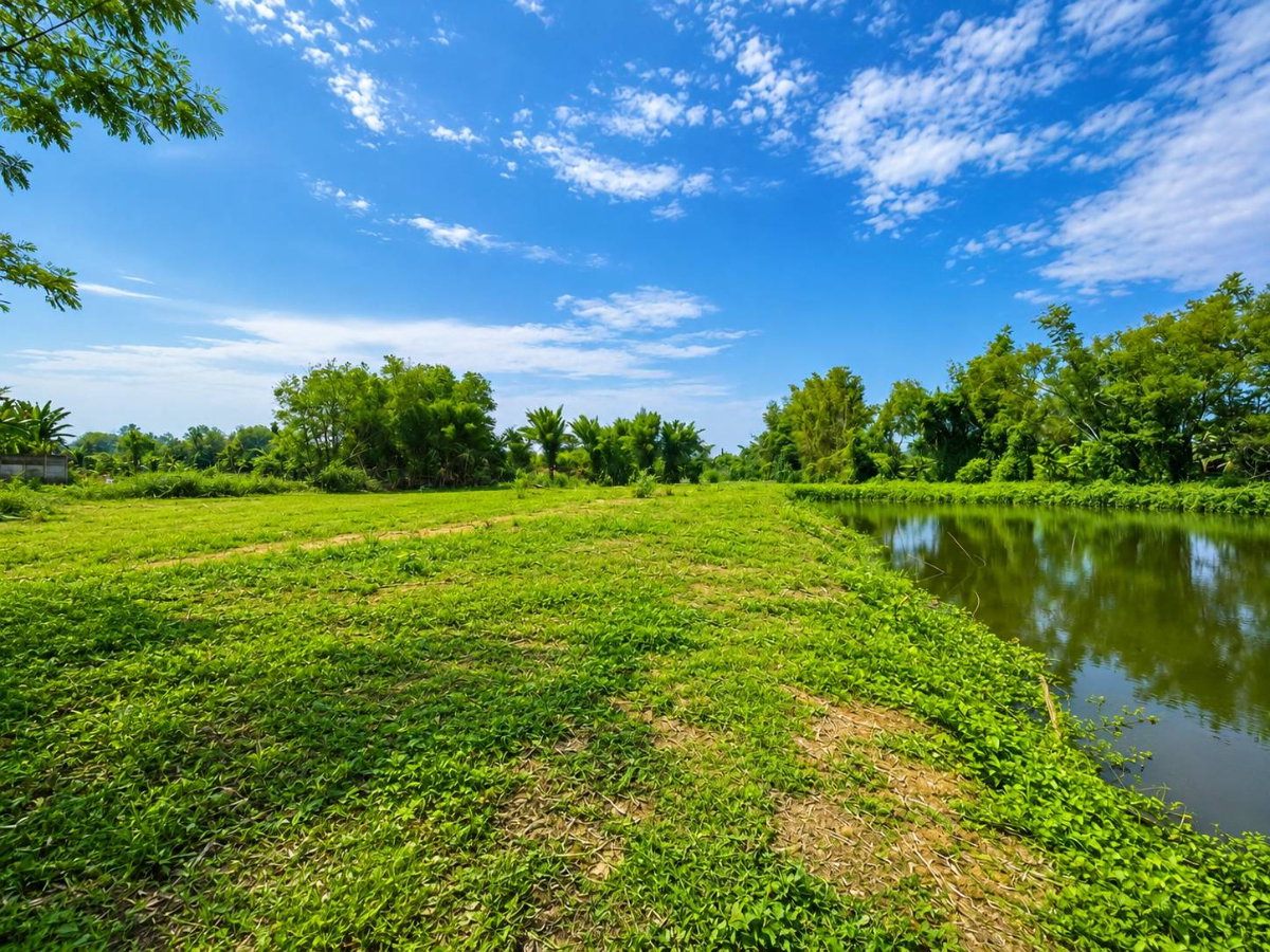 picture Beautiful Land for Sale in Mae Taeng District, Chiang Mai Province. - 4/8