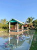 listing thumbnail image 13