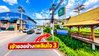 listing thumbnail image 12