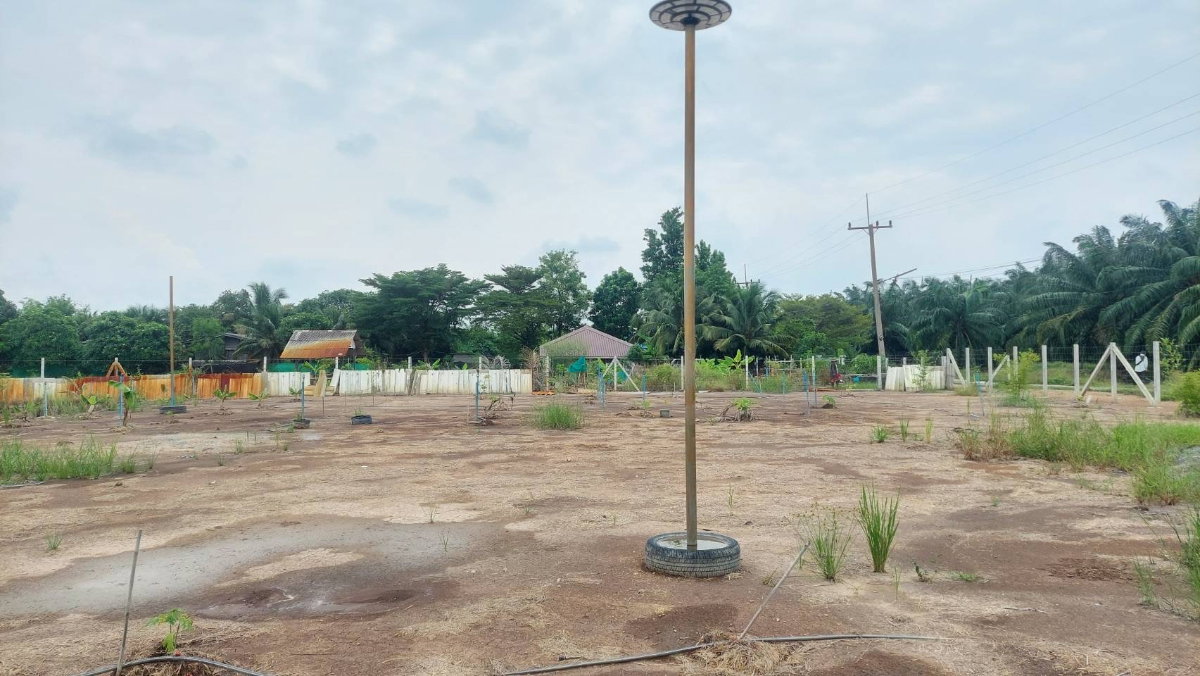 รูป ขายที่ดิน 2 ไร่ 86 ตรว. ซอยบ้านดอนพัฒนา ต.นพรัตน์ อ. หนองเสือ จ.ปทุมธานี คลอง12 - รูปที่ 2/8