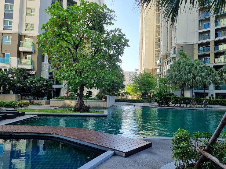 picture Belle Residence, Resort style living with lush Garden pool/Quiet ,bright ,well maintained - 9/13