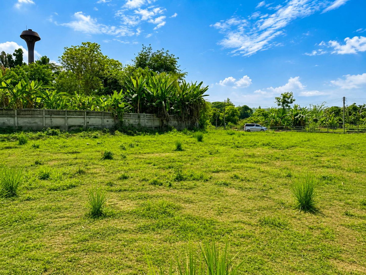 picture Beautiful Land for Sale in Mae Taeng District, Chiang Mai Province. - 6/8