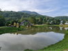 listing thumbnail image 13