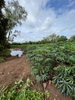listing thumbnail image 5