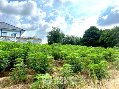 Land for sale Si Racha Chonburi : Land For Sale In Nong Kham, Si Racha, Chon Buri (ID 2882655)