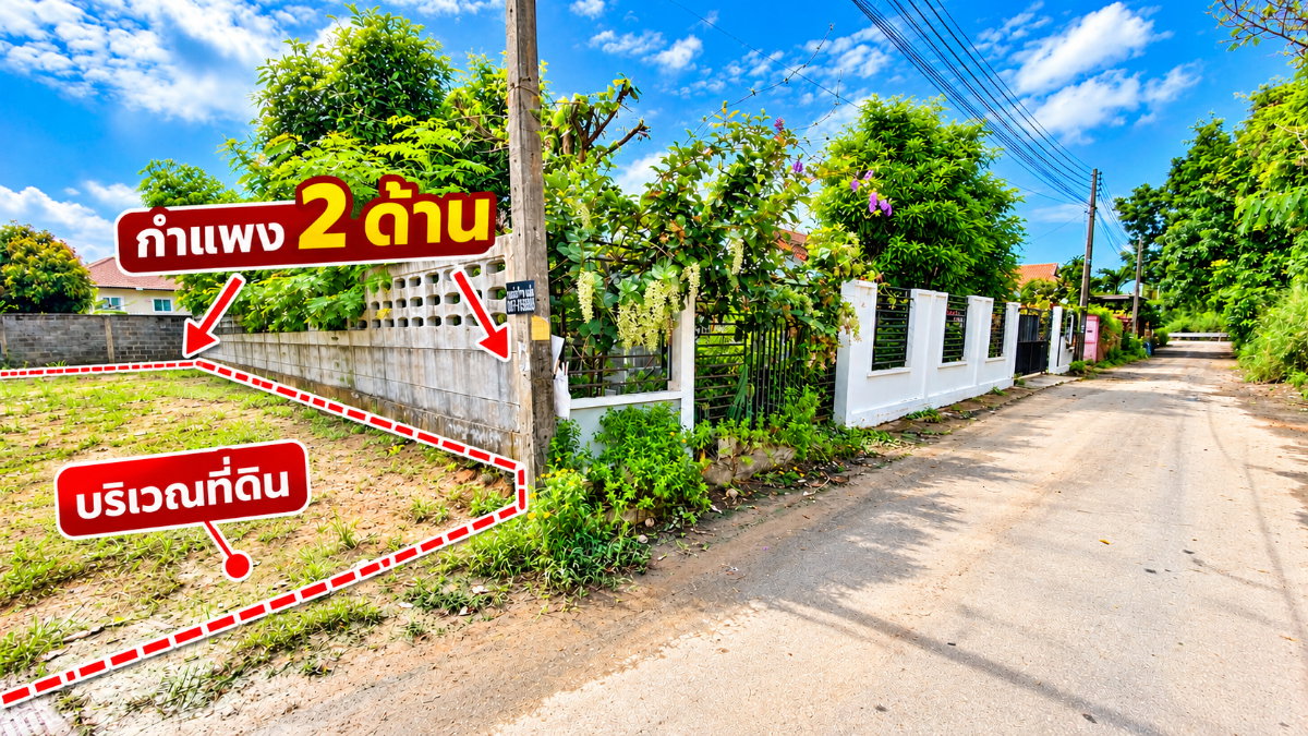 รูป ขายที่ดินถมแล้ว 166 ตร.ว. ทับมา ระยอง ใกล้โกลบอลเฮ้าส์ ไฟฟ้าและประปาผ่านหน้าแปลง - รูปที่ 12/18