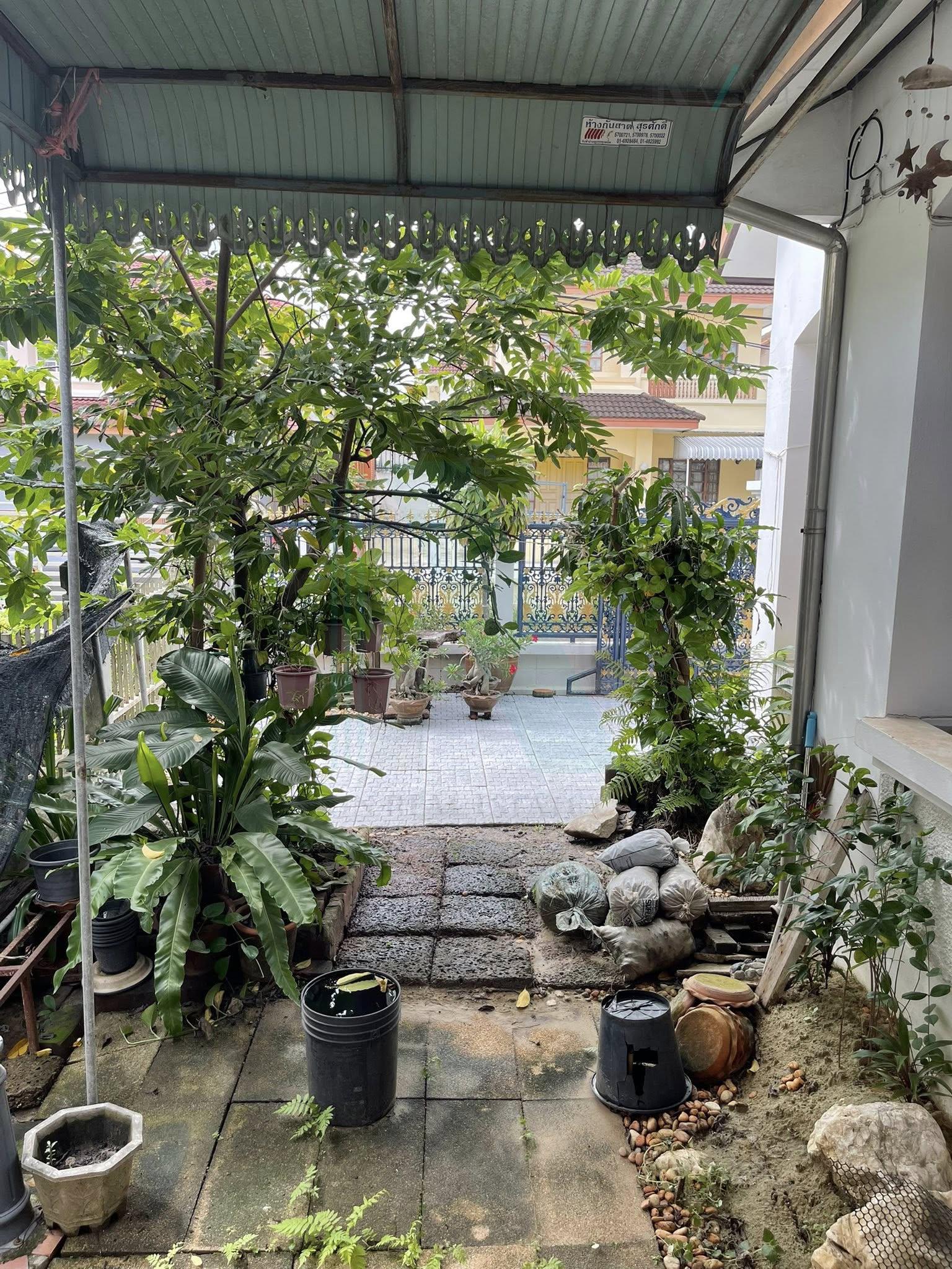 ขายบ้านเดี่ยว 4 ห้องนอน 200 ตร.ม. 78 ตร.ว. ชัยพฤกษ์ รามอินทรา