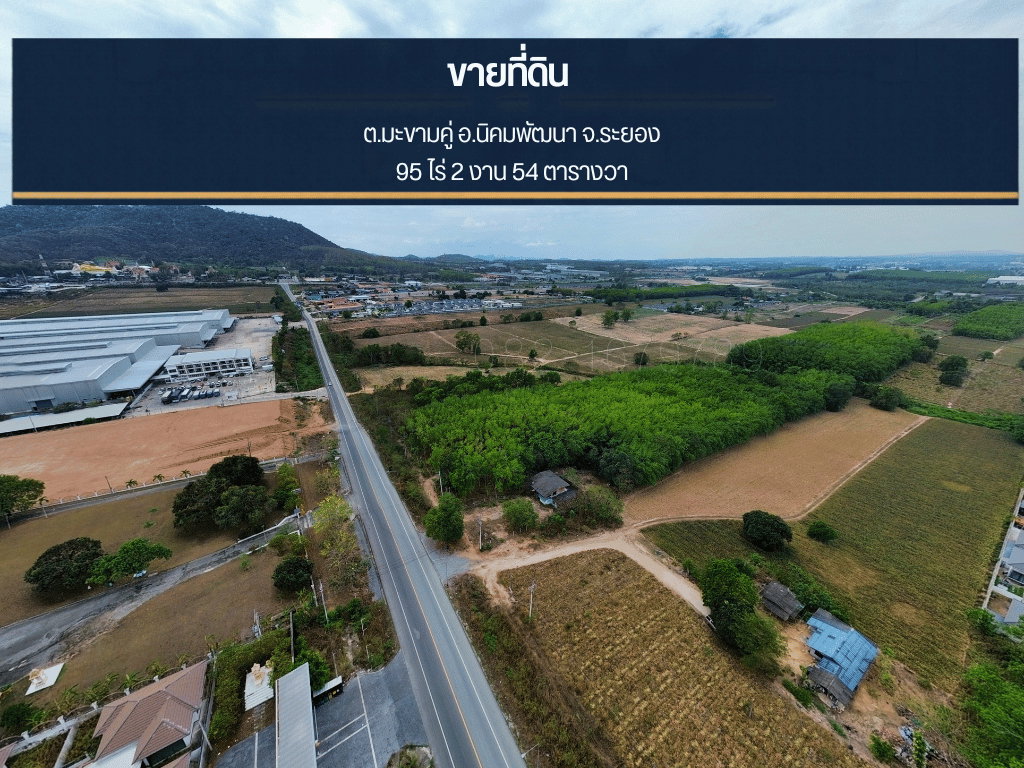 รูป ขายที่ดิน 95 ไร่ ผังสีม่วง เขต EEC ระยอง - รูปที่ 1/7