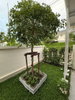 listing thumbnail image 20