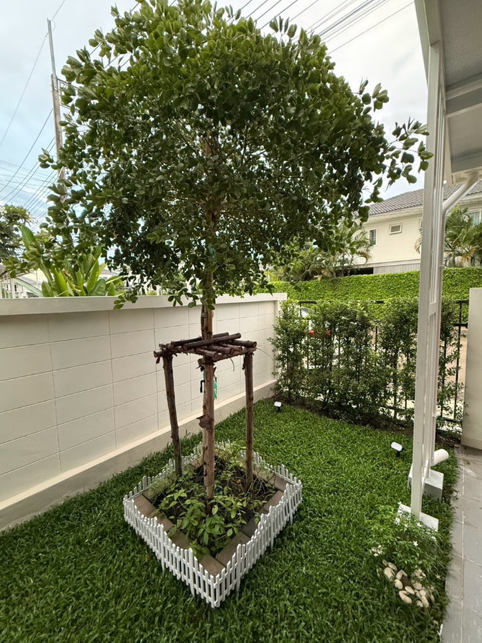 รูป ✨🏡 บ้านเช่าที่ต้องรอจังหวะ! ศุภาลัย ดอนแก้ว–แม่ริม | บ้านสวยในโครงการคุณภาพ นาน ๆ ทีจะมีหลุดมาให้เช่า - รูปที่ 21/22