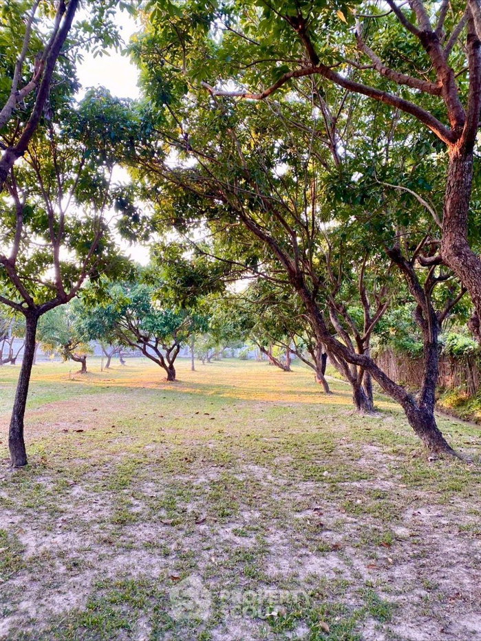 picture Land For Sale In Choeng Doi, Doi Saket, Chiang Mai (ID 3389110) - 11/16