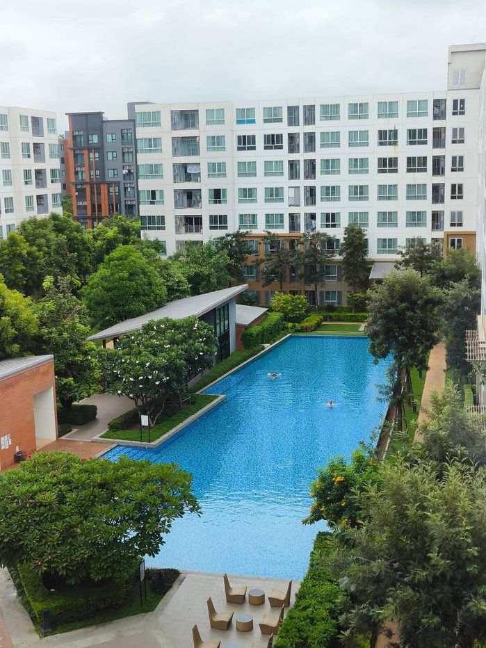 รูป POS ดี คอนโด นิม 2 ห้องนอน ห้องมุม ตกแต่งพร้อม ห้องบรรยากาศดี เงียบสงบ ร่มตลอดทั้งวัน ทำเล ติดเซ็นทรัล เชียงใหม่ (โทร/ไลน์ 088-5986998) - รูปที่ 8/14