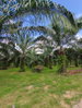 listing thumbnail image 4