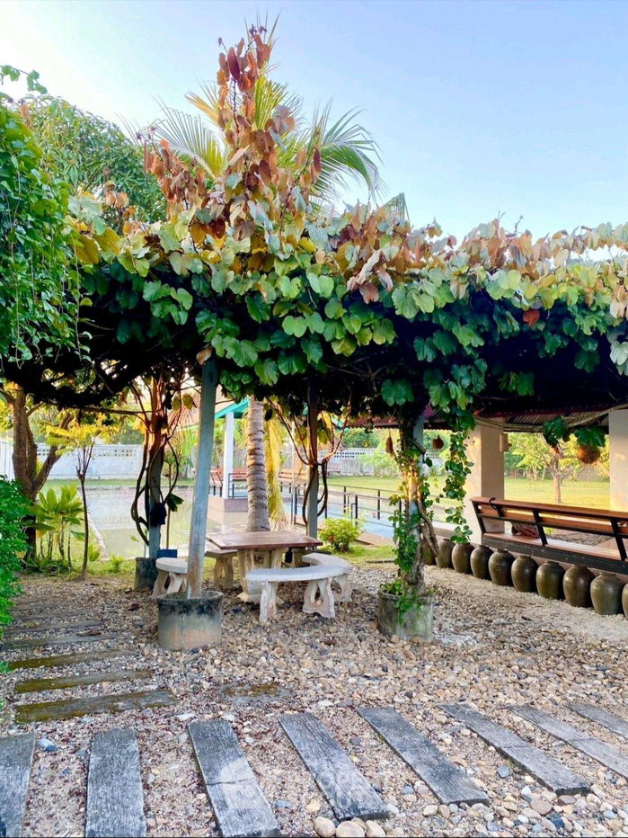 picture Land For Sale In Choeng Doi, Doi Saket, Chiang Mai (ID 3389110) - 12/16