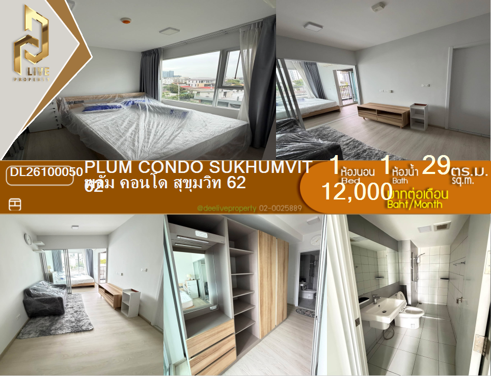 รูป DL26100050 ให้เช่าคอนโด พลัม คอนโด สุขุมวิท 62 (Plum Condo Sukhumvit 62) ใกล้ - พร้อมเข้าอยู่ โทรด่วน 0638692663 LineID @952jdxxk - รูปที่ 1/9