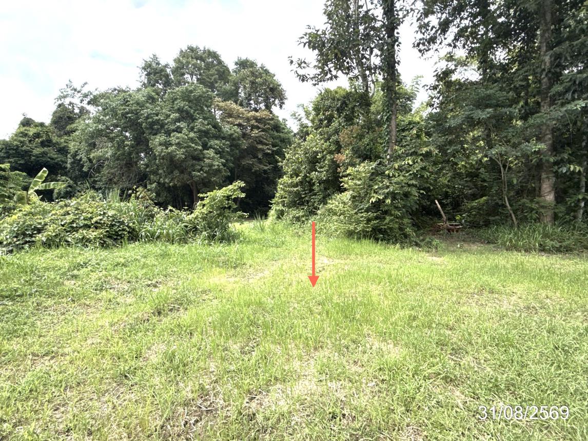 picture LAND 502 Sq.w. Muang Ya Sothon Yasothon for 1.3M - 16/21