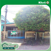 listing thumbnail image 32