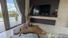 listing thumbnail image 64