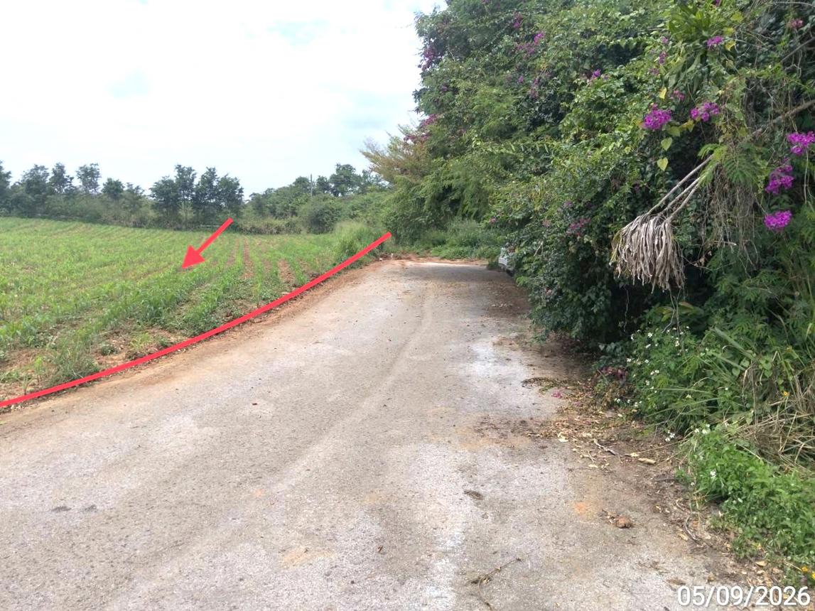 รูป ที่ดินว่างเปล่า 882 ตร.วา ภูริพิมาน ปากช่อง นครราชสีมา 5.7M - รูปที่ 13/19