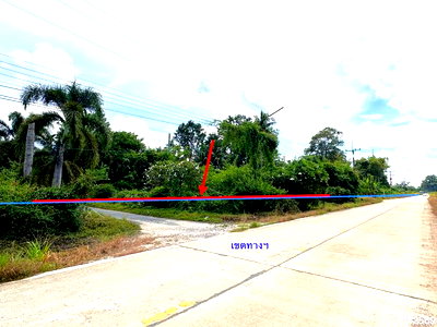 Land for sale Muang Phitsanulok Phitsanulok : LAND 135.3 Sq.w. Muang Phitsanulok Phitsanulok for 912,000