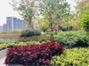 listing thumbnail image 26