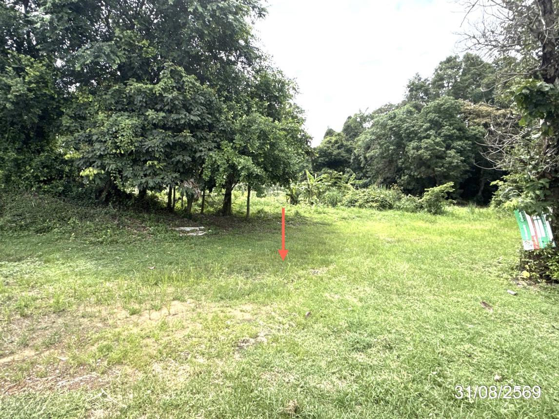 picture LAND 502 Sq.w. Muang Ya Sothon Yasothon for 1.3M - 15/21