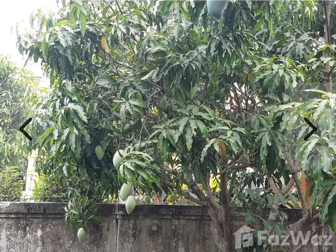 รูป ขาย บ้านเดี่ยว 3 ห้องนอน ในโครงการ ภัสสร 13 สุวินทวงศ์ 6848332 - รูปที่ 9/9