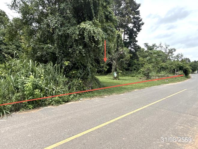 picture LAND 502 Sq.w. Muang Ya Sothon Yasothon for 1.3M - 2/21