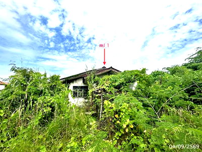 HOME 312 Sq.w. Muang Nakhon Sawan Nakhon Sawan for 3.8M