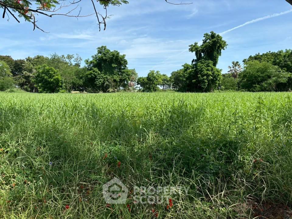 รูป ขายที่ดินเปล่า บางโฉลง บางพลี สมุทรปราการ (ID 3381566) - รูปที่ 2/4