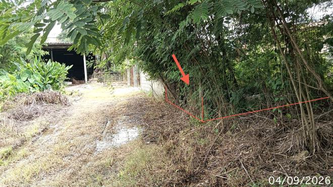 picture HOME 100.6 Sq.w. Sung Men Phrae for 5.1M - 11/25