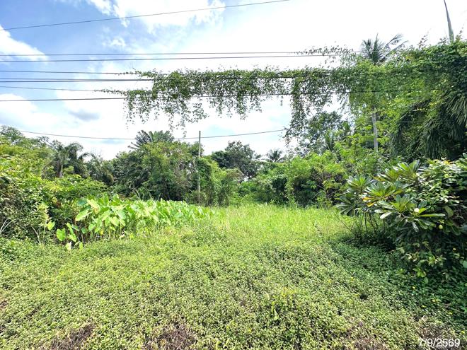 รูป ที่ดินว่างเปล่า 135.3 ตร.วา เมืองพิษณุโลก พิษณุโลก 912,000 - รูปที่ 5/15