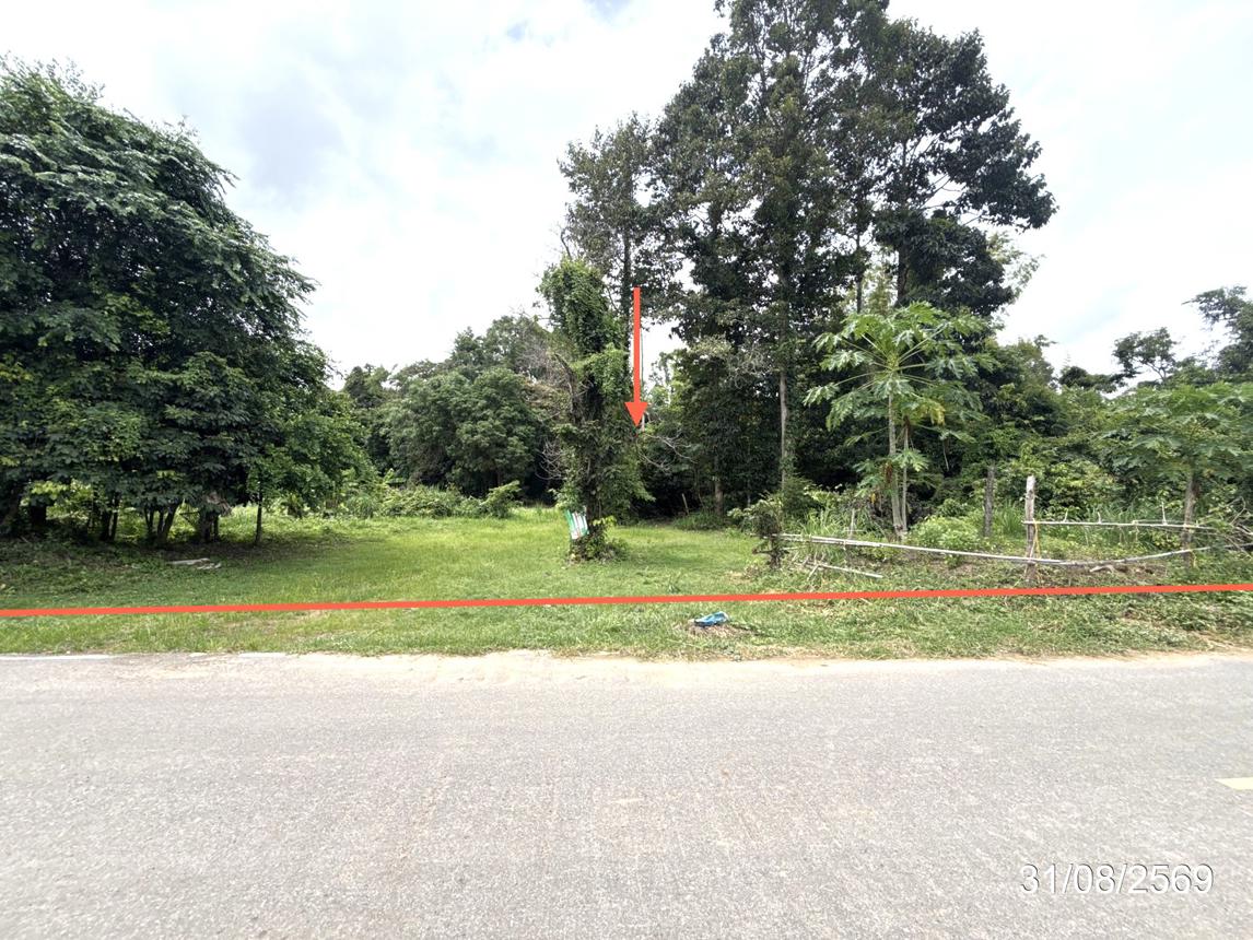 picture LAND 502 Sq.w. Muang Ya Sothon Yasothon for 1.3M - 10/21