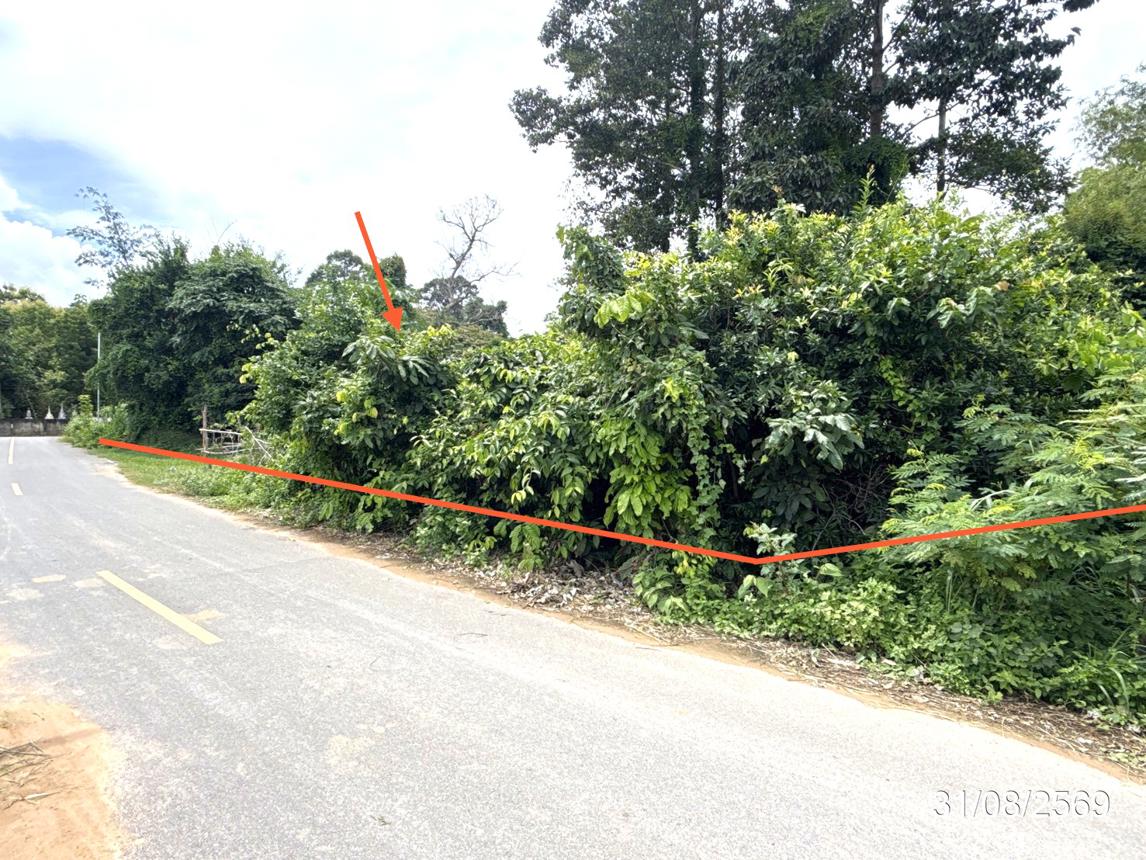 picture LAND 502 Sq.w. Muang Ya Sothon Yasothon for 1.3M - 12/21