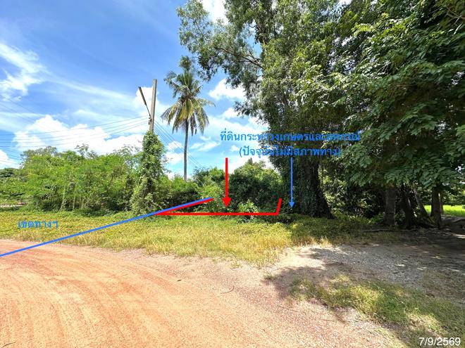รูป ที่ดินว่างเปล่า 135.3 ตร.วา เมืองพิษณุโลก พิษณุโลก 912,000 - รูปที่ 4/15