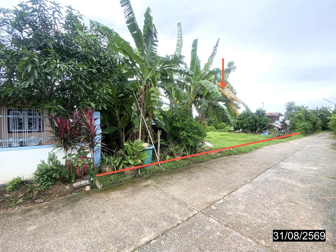 รูป ที่ดินว่างเปล่า 210 ตร.วา วังสามหมอ อุดรธานี 2M - รูปที่ 10/15