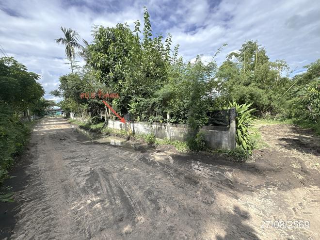 picture HOME 108 Sq.w. Pho Si Suwan Si Sa Ket for 862,000 - 15/33