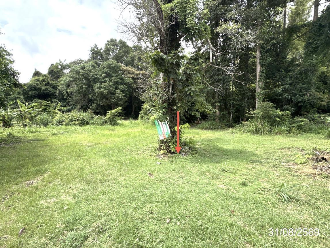 picture LAND 502 Sq.w. Muang Ya Sothon Yasothon for 1.3M - 14/21