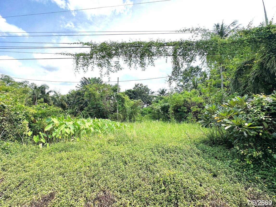 รูป ที่ดินว่างเปล่า 135.3 ตร.วา เมืองพิษณุโลก พิษณุโลก 912,000 - รูปที่ 10/15