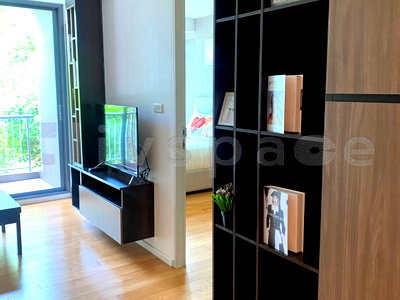 คอนโดให้เช่า : ▚ L02C07ツ ให้เช่า Focus Ploenchit 1Bed 47.78ตร.ม. วิวสวนร่มรื่น เฟอร์ครบ พร้อมอยู่ ใกล้ BTS เพลินจิต✨