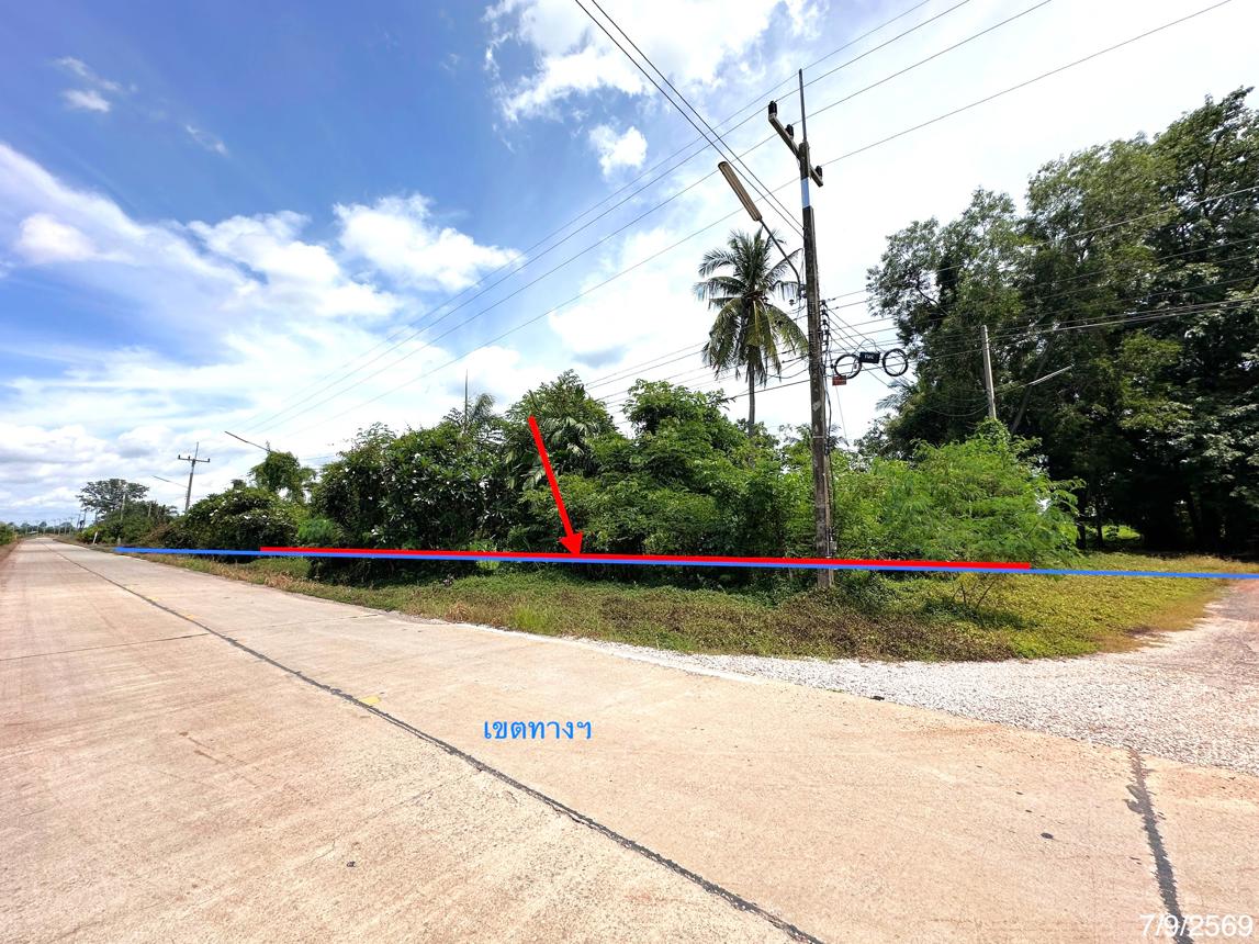รูป ที่ดินว่างเปล่า 135.3 ตร.วา เมืองพิษณุโลก พิษณุโลก 912,000 - รูปที่ 8/15