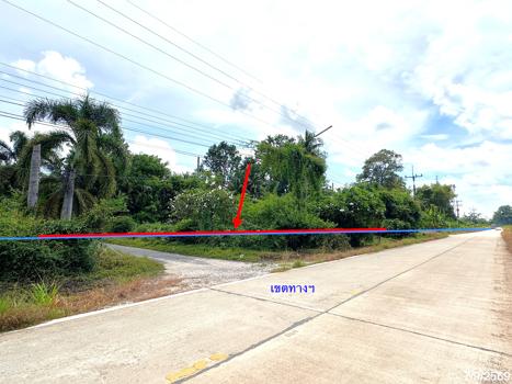 รูป ที่ดินว่างเปล่า 135.3 ตร.วา เมืองพิษณุโลก พิษณุโลก 912,000 - รูปที่ 12/15