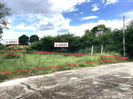 picture LAND 250 Sq.w. Pran Buri Prachaubkirikhan for 2.2M - 20/23