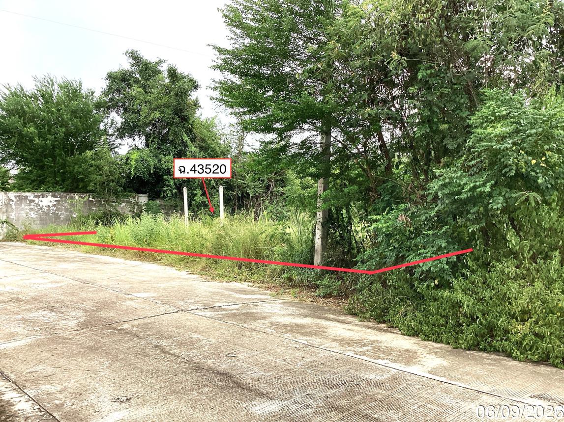 picture LAND 250 Sq.w. Pran Buri Prachaubkirikhan for 2.2M - 12/23