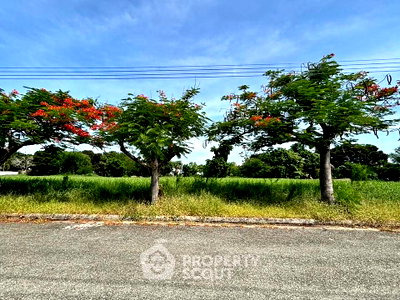 ที่ดิน สมุทรปราการ : ขายที่ดินเปล่า บางโฉลง บางพลี สมุทรปราการ (ID 3381566)