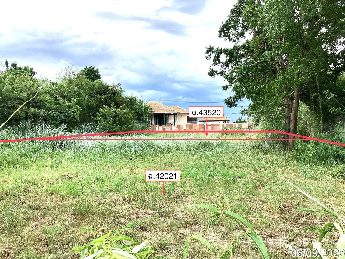 picture LAND 250 Sq.w. Pran Buri Prachaubkirikhan for 2.2M - 15/23
